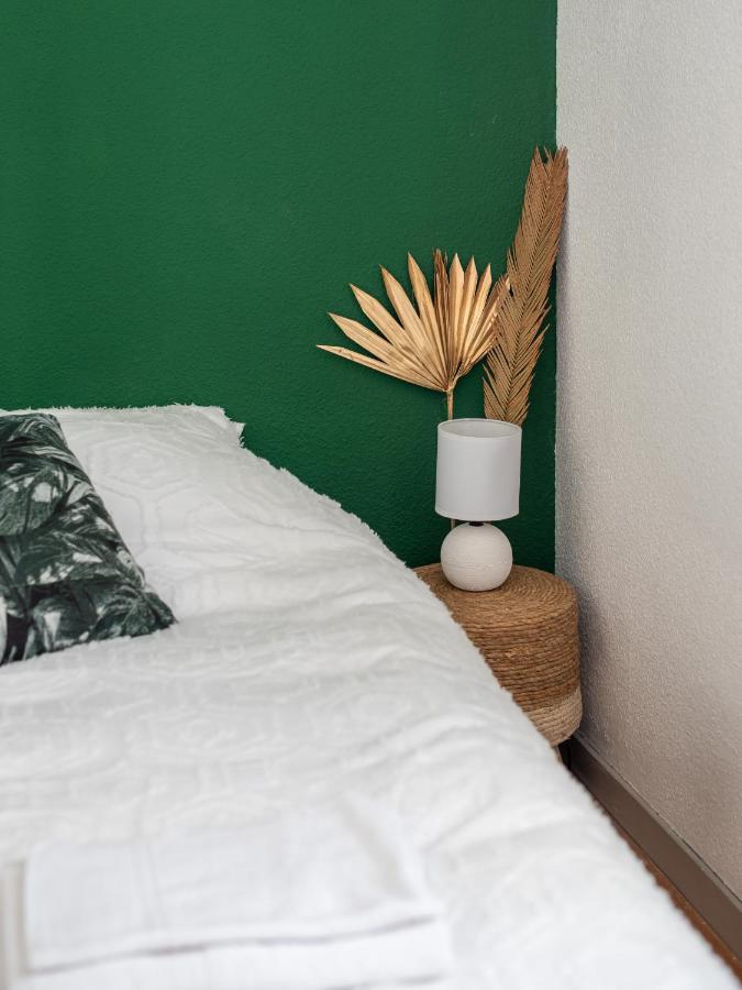 Bel Appartement Renove Grenoble Ngoại thất bức ảnh